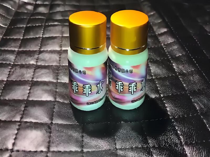 女士专用蓝精灵5277-TRTL型号